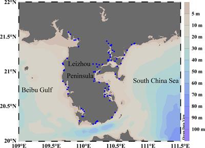 Environmental capacity and fluxes of land-sourced pollutants around the Leizhou Peninsula in the summer